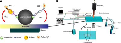 Nucleotide detection mechanism and comparison based on low-dimensional materials: A review